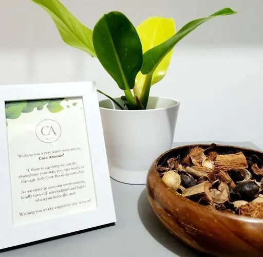 Apartment Casa Antonio At Stamford Mckinley Hill Unli Wi-fi Near Piazza Manila